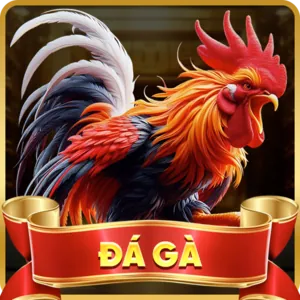 Trang chủ dagac3 nổ hũ